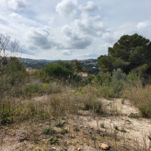 3566-plot-for-sale-in-javea-409257-large.jpg