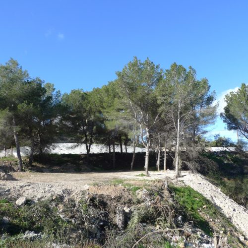 plot-in-javea-2-large.jpg